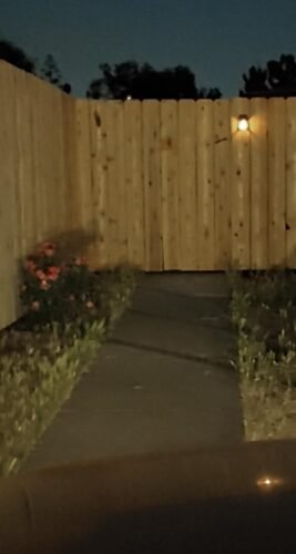 6-Pack Solar Garden Lights photo review