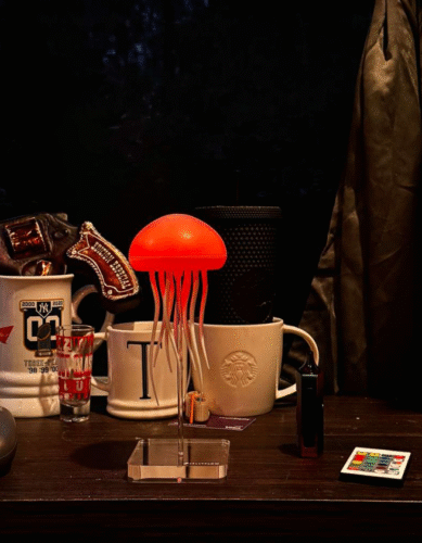 Jellyfish Lamp photo review