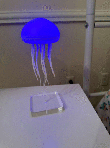 Jellyfish Lamp photo review