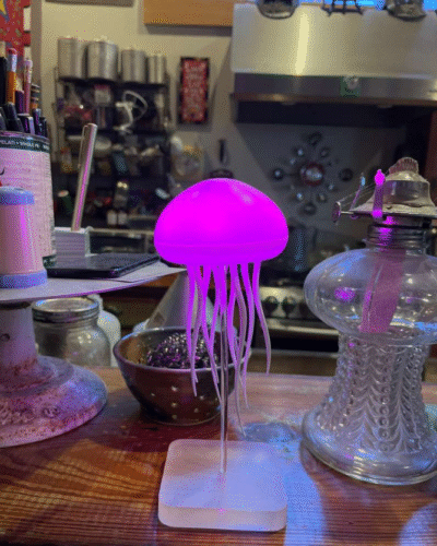 Jellyfish Lamp photo review