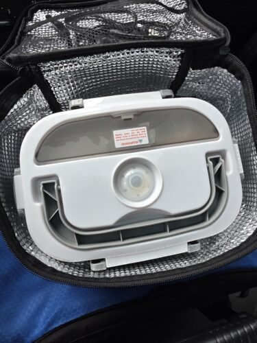 Electric Lunch Box photo review