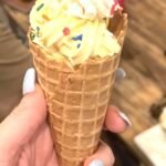 Swirl Ice Cream and Soft Serve Maker photo review