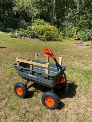 🎉🎉Poly Garden Dump Cart photo review
